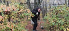 С 10 по 15 октября в училище проходил осенний трудовой десант по уборке листвы и сухих веток 3