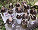 Мы вместе! 1