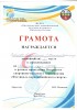 Фестиваль Паралимпийского спорта 13