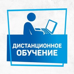 Дистанционное обучение группа 14