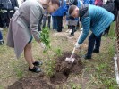 Всероссийская акция &laquo;САД ПАМЯТИ&raquo; 5