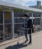 Посещение Нижегородского благотворительного фонда защиты животных "Сострадание НН" 6