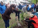 Всероссийская акция &laquo;САД ПАМЯТИ&raquo; 2