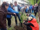 Всероссийская акция &laquo;САД ПАМЯТИ&raquo; 3
