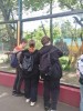 Посещение зоопарка "Лимпопо" 0