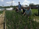 Экскурсия в Крестовоздвиженский женский монастырь в селе Быдреевка 5